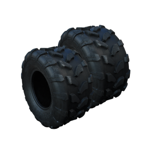 2 x Gomme per Mini Quad 18x9,5-8